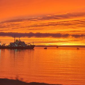 Full Day Torres Del Paine (Punta Arenas)